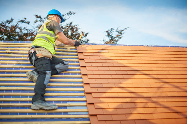 Best Solar Panel Roofing Installation  in Nashwauk, MN